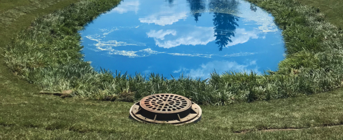 Stodden_ SW POND 2018-07-26 – Progress (8)_web image