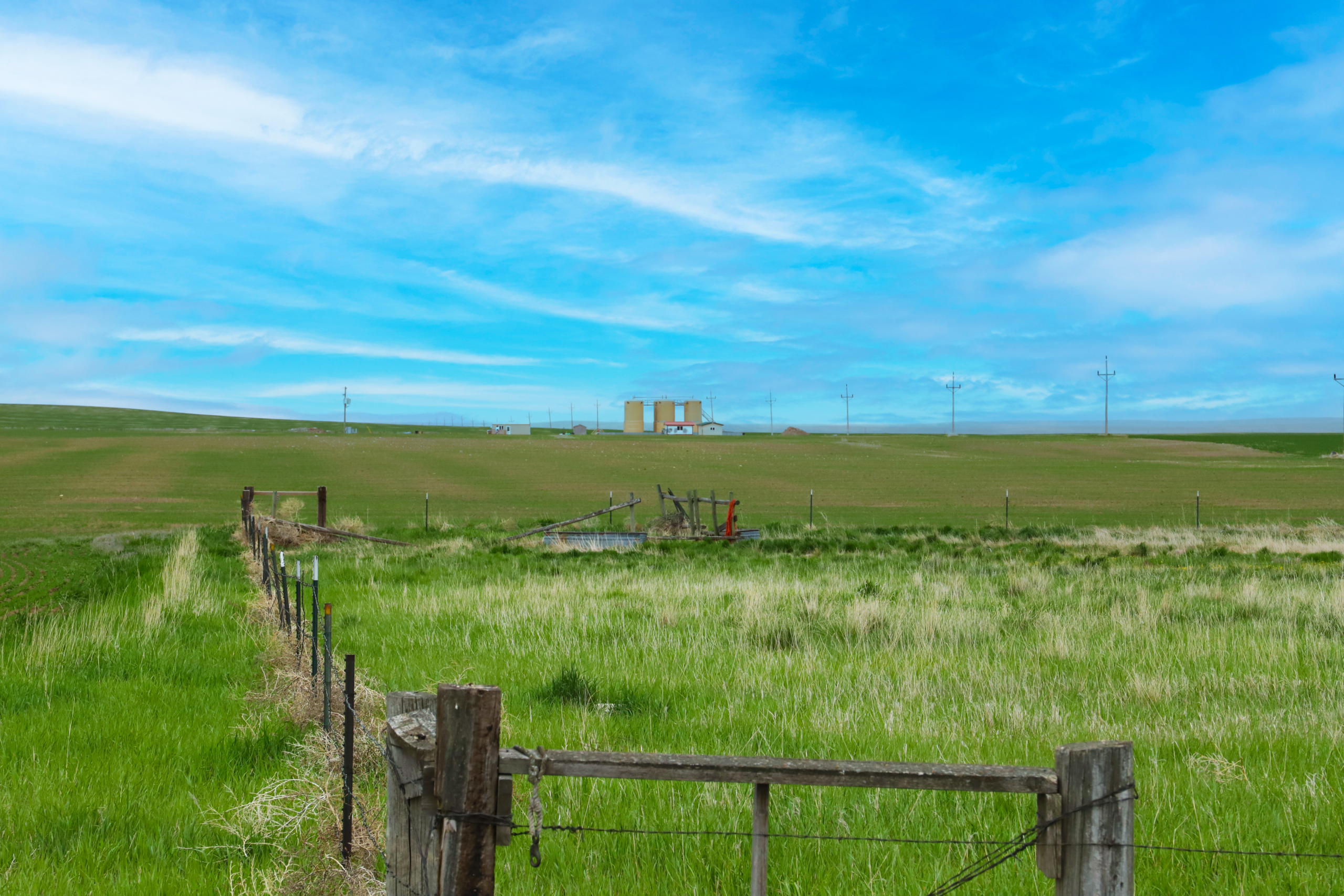 Poplar Landscape Edited